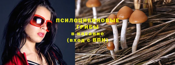 экстази Вяземский